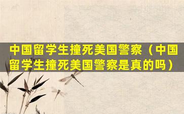 中国留学生撞死美国警察（中国留学生撞死美国警察是真的吗）