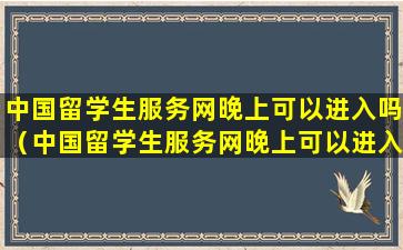 中国留学生服务网晚上可以进入吗（中国留学生服务网晚上可以进入吗安全吗）