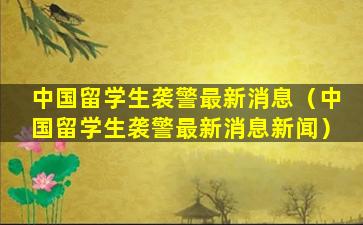 中国留学生袭警最新消息（中国留学生袭警最新消息新闻）