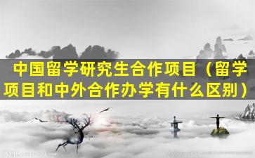 中国留学研究生合作项目（留学项目和中外合作办学有什么区别）