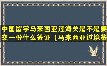 中国留学马来西亚过海关是不是要交一份什么签证（马来西亚过境签怎么办理需要填申请表吗）