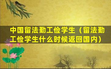 中国留法勤工俭学生（留法勤工俭学生什么时候返回国内）