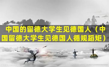 中国的留德大学生见德国人（中国留德大学生见德国人循规蹈矩）