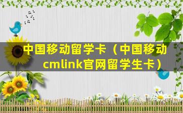 中国移动留学卡（中国移动cmlink官网留学生卡）