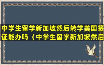 中学生留学新加坡然后转学美国签证能办吗（中学生留学新加坡然后转学美国签证能办吗知乎）