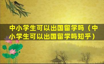 中小学生可以出国留学吗（中小学生可以出国留学吗知乎）