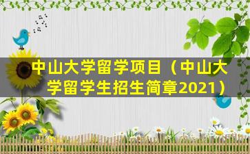 中山大学留学项目（中山大学留学生招生简章2021）