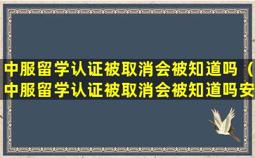 中服留学认证被取消会被知道吗（中服留学认证被取消会被知道吗安全吗）