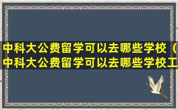 中科大公费留学可以去哪些学校（中科大公费留学可以去哪些学校工作）