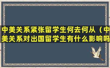 中美关系紧张留学生何去何从（中美关系对出国留学生有什么影响吗）