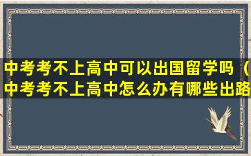 中考考不上高中可以出国留学吗（中考考不上高中怎么办有哪些出路）