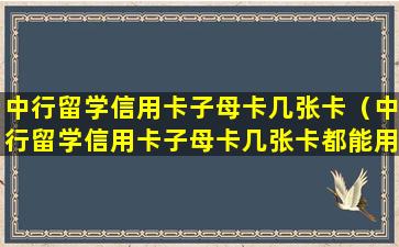 中行留学信用卡子母卡几张卡（中行留学信用卡子母卡几张卡都能用吗）