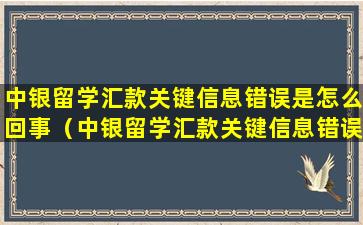 中银留学汇款关键信息错误是怎么回事（中银留学汇款关键信息错误是怎么回事啊）