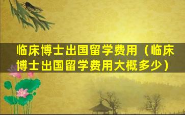 临床博士出国留学费用（临床博士出国留学费用大概多少）