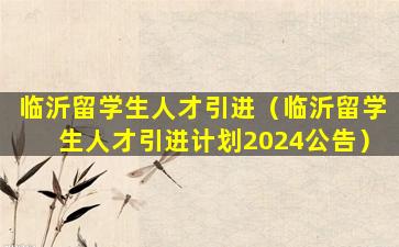 临沂留学生人才引进（临沂留学生人才引进计划2024公告）