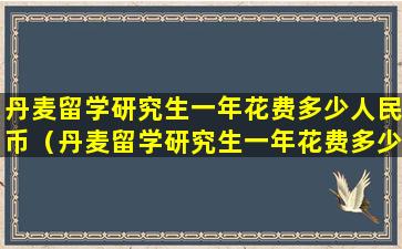 丹麦留学研究生一年花费多少人民币（丹麦留学研究生一年花费多少人民币啊）