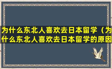 为什么东北人喜欢去日本留学（为什么东北人喜欢去日本留学的原因）