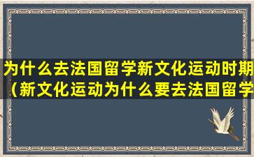 为什么去法国留学新文化运动时期（新文化运动为什么要去法国留学）