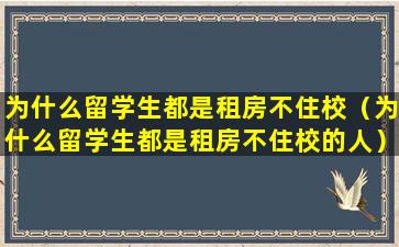 为什么留学生都是租房不住校（为什么留学生都是租房不住校的人）