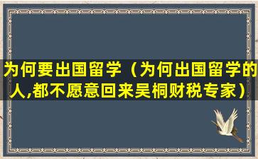 为何要出国留学（为何出国留学的人,都不愿意回来吴桐财税专家）