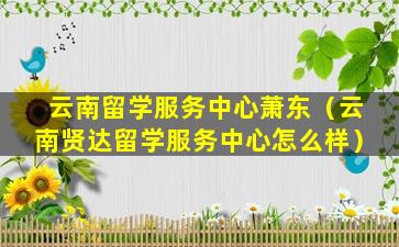 云南留学服务中心萧东（云南贤达留学服务中心怎么样）