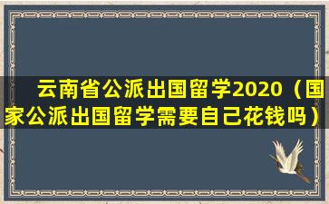 云南省公派出国留学2020（国家公派出国留学需要自己花钱吗）