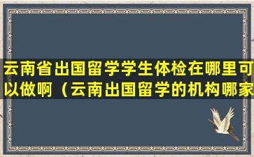 云南省出国留学学生体检在哪里可以做啊（云南出国留学的机构哪家好）