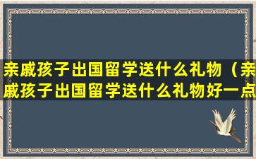 亲戚孩子出国留学送什么礼物（亲戚孩子出国留学送什么礼物好一点）