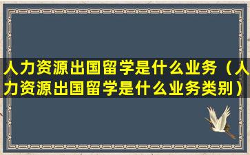 人力资源出国留学是什么业务（人力资源出国留学是什么业务类别）