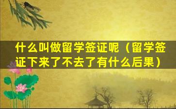 什么叫做留学签证呢（留学签证下来了不去了有什么后果）