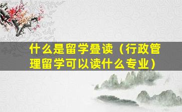 什么是留学叠读（行政管理留学可以读什么专业）