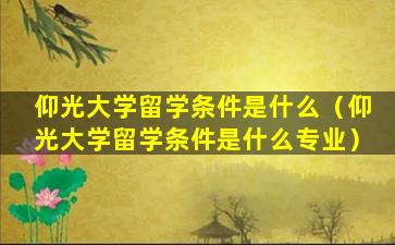 仰光大学留学条件是什么（仰光大学留学条件是什么专业）