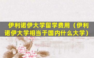 伊利诺伊大学留学费用（伊利诺伊大学相当于国内什么大学）