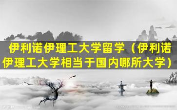 伊利诺伊理工大学留学（伊利诺伊理工大学相当于国内哪所大学）