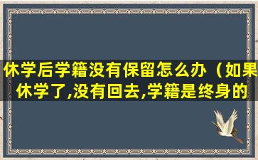 休学后学籍没有保留怎么办（如果休学了,没有回去,学籍是终身的吗）