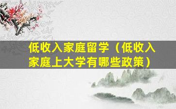 低收入家庭留学（低收入家庭上大学有哪些政策）