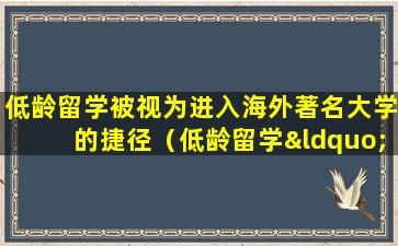 低龄留学被视为进入海外著名大学的捷径（低龄留学“心里苦”过度追逐名校或将加重心理问题）