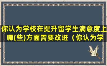 你认为学校在提升留学生满意度上哪(些)方面需要改进（你认为学校在提升留学生满意度上哪(些)方面需要改进）