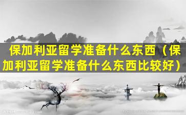 保加利亚留学准备什么东西（保加利亚留学准备什么东西比较好）