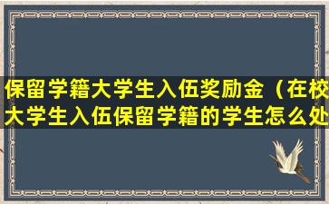 保留学籍大学生入伍奖励金（在校大学生入伍保留学籍的学生怎么处理）