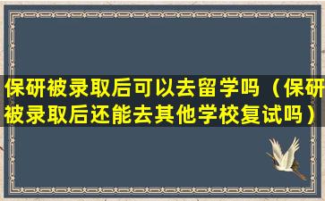 保研被录取后可以去留学吗（保研被录取后还能去其他学校复试吗）