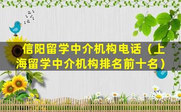 信阳留学中介机构电话（上海留学中介机构排名前十名）