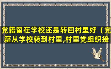 党籍留在学校还是转回村里好（党籍从学校转到村里,村里党组织接收不到怎么办）