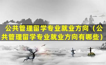 公共管理留学专业就业方向（公共管理留学专业就业方向有哪些）