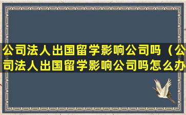 公司法人出国留学影响公司吗（公司法人出国留学影响公司吗怎么办）