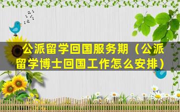 公派留学回国服务期（公派留学博士回国工作怎么安排）