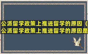 公派留学政策上推进留学的原因（公派留学政策上推进留学的原因是什么）