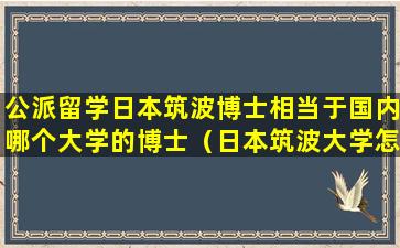 公派留学日本筑波博士相当于国内哪个大学的博士（日本筑波大学怎么样,世界排名如何）