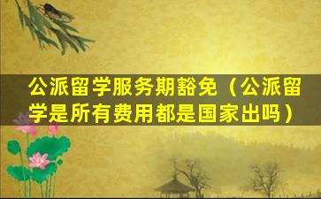 公派留学服务期豁免（公派留学是所有费用都是国家出吗）