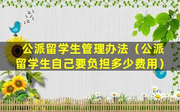 公派留学生管理办法（公派留学生自己要负担多少费用）